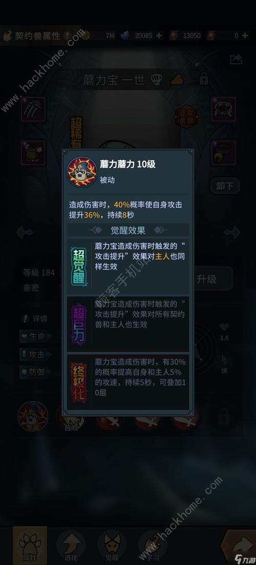 提灯与地下城宠物搭配-提灯与地下城 宠物组合-第2张图片-南方游戏