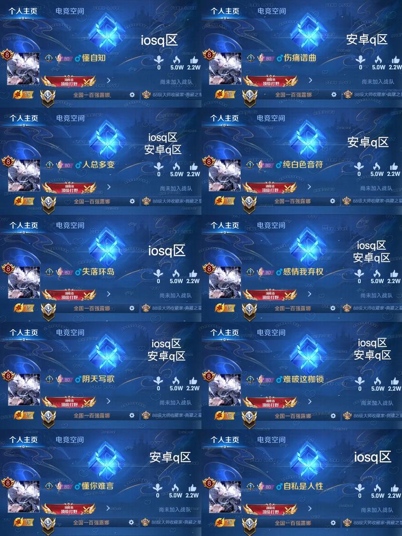 王者荣耀开黑-王者荣耀开黑铭牌删不掉吗-第4张图片-南方游戏