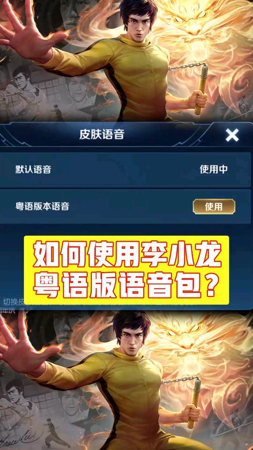王者荣耀李小龙粤语语音包-王者李小龙的粤语语音包-第2张图片-南方游戏